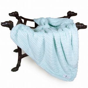 Hello 9147 Paris Dog Blanket