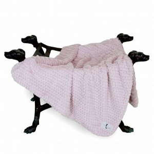 Hello 9150 Paris Dog Blanket