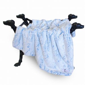 Hello 9158 Whisper Dog Blanket