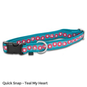 Petsafe FIN-QSC-L-1-TEA Fido Finery Quick Snap Collar (large, Teal My 