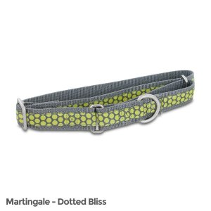 Petsafe FIN-PRC-L-1-DOT Fido Finery Martingale Style Collar (1 Large, 