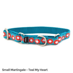 Petsafe FIN-PRC-S-3/4-TEA Fido Finery Martingale Style Collar (34 Smal