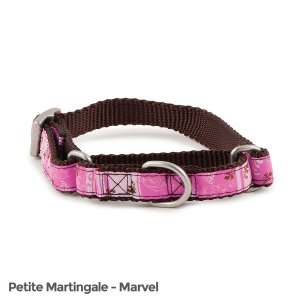 Petsafe FIN-PRC-P-1/2-M Fido Finery Martingale Style Collar (12 Petite