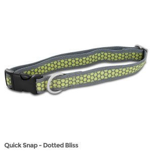 Petsafe FIN-QSC-L-1-DOT Fido Finery Quick Snap Collar (large, Dotted B