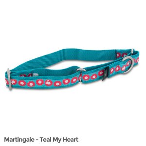 Petsafe FIN-PRC-L-1-TEA Fido Finery Martingale Style Collar (1 Large, 