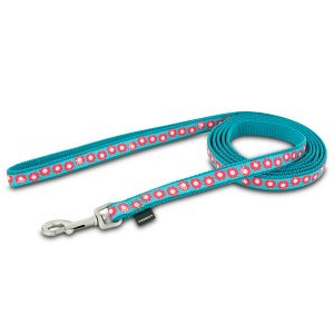 Petsafe FIN-LSH-1/2-X-6-TEA Fido Finery Leash (teal My Heart, 6' X 12)