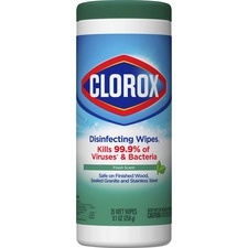 The Clorox Company-CLO01593CT