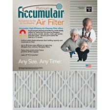 Filtersnowcom FLN FA24X244 Accumulair Platinum Air Filter - For Air Co