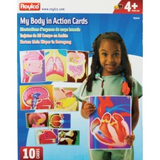 Roylco RYL R59270 Roylco My Body In Action Animation Cards - Themesubj