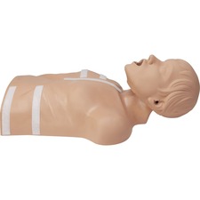 Zoll ZOL 8000083501 Zoll Cpr-d Demo Manikin - 1 Each - Green