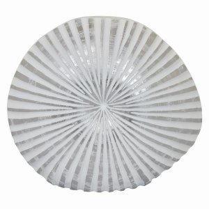 Plutus PBTH93753 Shell Vase In White Resin