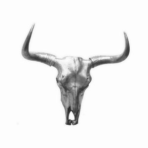 Plutus PBTH93811 Bison Skull Wall Decor -silver In Silver Resin