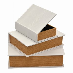 Plutus PBTH94781 Wood Book Box  In White Wood Set Of 3