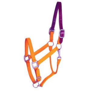 Choice 5-111317 Gatsby Classic Nylon Breakaway Halter With Snap