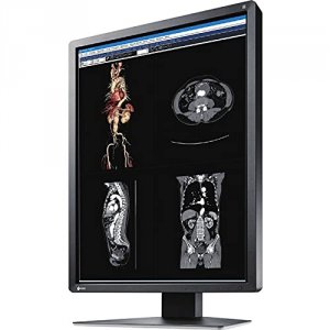 Eizo MX216-BK 21.3in Led 1600x1200 Mx-series