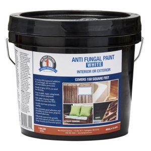 Ebrookmyer 1S-AFPC 1 Shot Anti-fungal Paint (white)