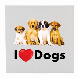 Creative 100255 Canvas 12x12 I Love (heart) Dogs