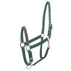 Choice 5-110732 Gatsby I Love My Horse Nylon Halter