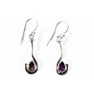 Wild PPLI29 Teardrop Amethyst Earrings