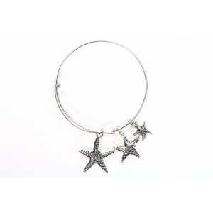 Wild STC101 Silver Tone Charm Bangle