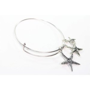 Wild STC102 Silver Tone Charm Bangle