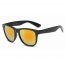 Iris S1031-BK2-RDC1 Retro Vintage Round Shape Mirrored Sunglasses