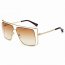 Iris CA01 CA08-B24 Women's Trendy Oversize Flat Top Metal Frame Sungla