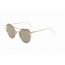 Iris D70 CA02-B23 Modern Cat Eye Mirrored Flat Lens Sunglasses