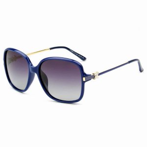 Iris SHIV-PT28042-T01-B01 Women Oversized Polarized Fashion Sunglasses