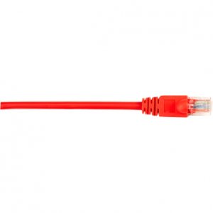 CAT5EPC-010-RD-10PAK