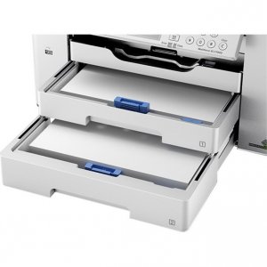 EPSON-C11CH67202