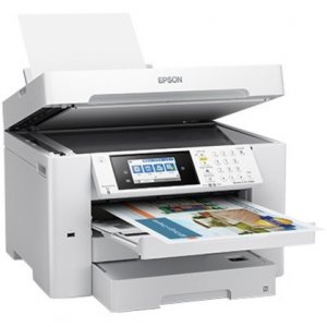 Original Epson C11CH67202 