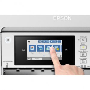 Original Epson C11CH67202 