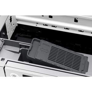 Original Epson C11CH67202 