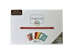 Bulk GR428 Becky Higgins Project Life 100 Piece Dazzle Edition Mini Jo