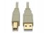 Tripp U022-006-BE 6ft Usb 2.0 Hi-speed A-b Cable M-m 28-24 Awg 480 Mbp