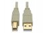 Tripp U022-010-BE 10ft Usb 2.0 Hi-speed A-b Cable M-m 28-24 Awg 480 Mb