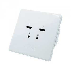 Birddog BDWPIN Wallplate Dual Input