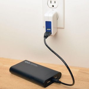 Tripp UPB-12K0-2U Portable 2-port Usb Battery Charger Mobile Power Ban