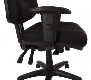 Ergoguys 2907-231 Office Star High-back Ergonomic Chair. Chair Has Thi