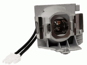 Datastor PA-007303 Replacement Lamp With Oem Bulb