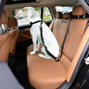 Shine x001gdiu8p 2 Pack Adjustable Dog Harness For Car Seatbelt Connec