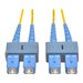 Tripp N356-06M 20ft 6m Singlemode Fiber Optic Patch Cable Scsc