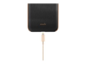 Moshi 99MO023223 20% Longer Than A Typical Lightning Cable. Aluminum H