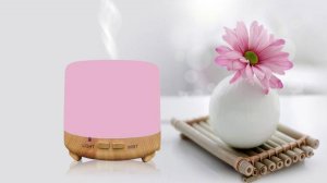 Worryfree RA-01L-120ML 120ml Aromatherapy Oil Diffuser