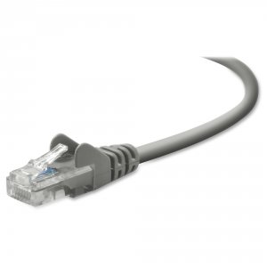 Belkin A3L791-14 Patch Cable - Rj-45 (m) - Rj-45 (m) - 14 Ft - ( Cat 5