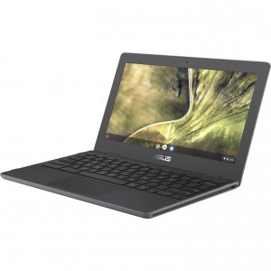 Asus C204EE-YZ02-GR Nb C204ee-yz02-gr 11.6 Celeron N4020 Intel Uhd 4g 