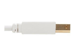 Tripp U022AB-006-WH Usb-a To Usb-b Antibacterial Cable 6ft