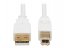 Tripp U022AB-006-WH Usb-a To Usb-b Antibacterial Cable 6ft