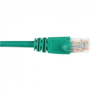 CAT5EPC-002-GN-10PAK